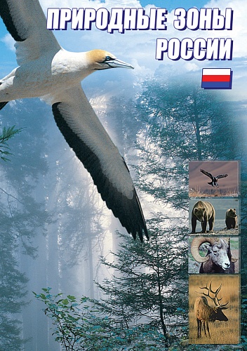 DVD Природные зоны России
