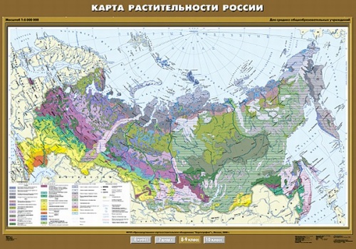 Карта растительности России. 8 класс