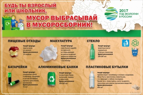 Баннер "2017 год экологии в России"2