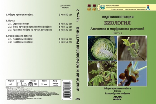 DVD Анатомия и морфология растений ч. 2