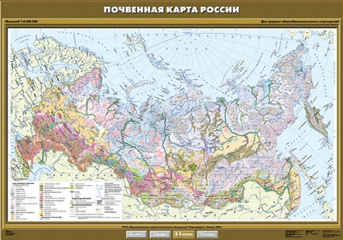 Почвенная карта России. 8 класс