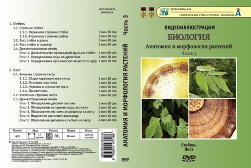 DVD Анатомия и морфология растений ч.3