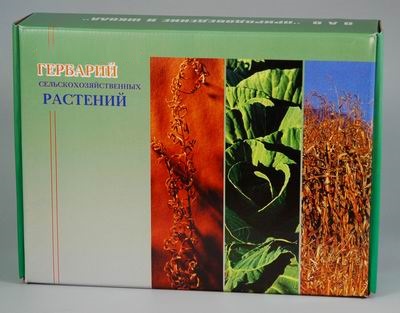 Гербарий Сельскохозяйственные растения России (28 видов)