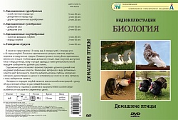 DVD Домашние птицы