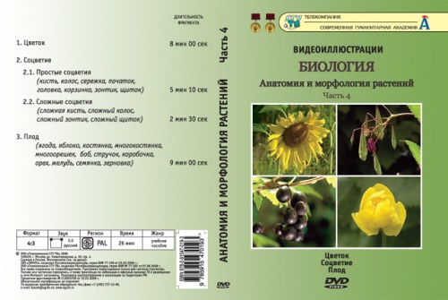 DVD Анатомия и морфология растений ч. 4