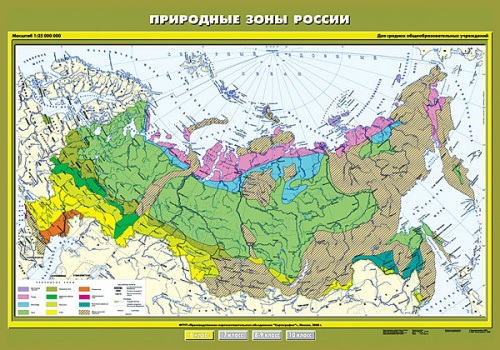 Природные зоны России. 6 класс