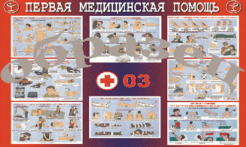 Плакат Первая медицинская помощь 1000*1400 винил