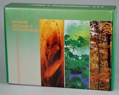 Гербарий Деревья и кустарники (20 видов)