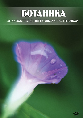 DVD Ботаника. Знакомство с цветковыми растениями